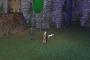 sshot041_001