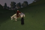 sshot139
